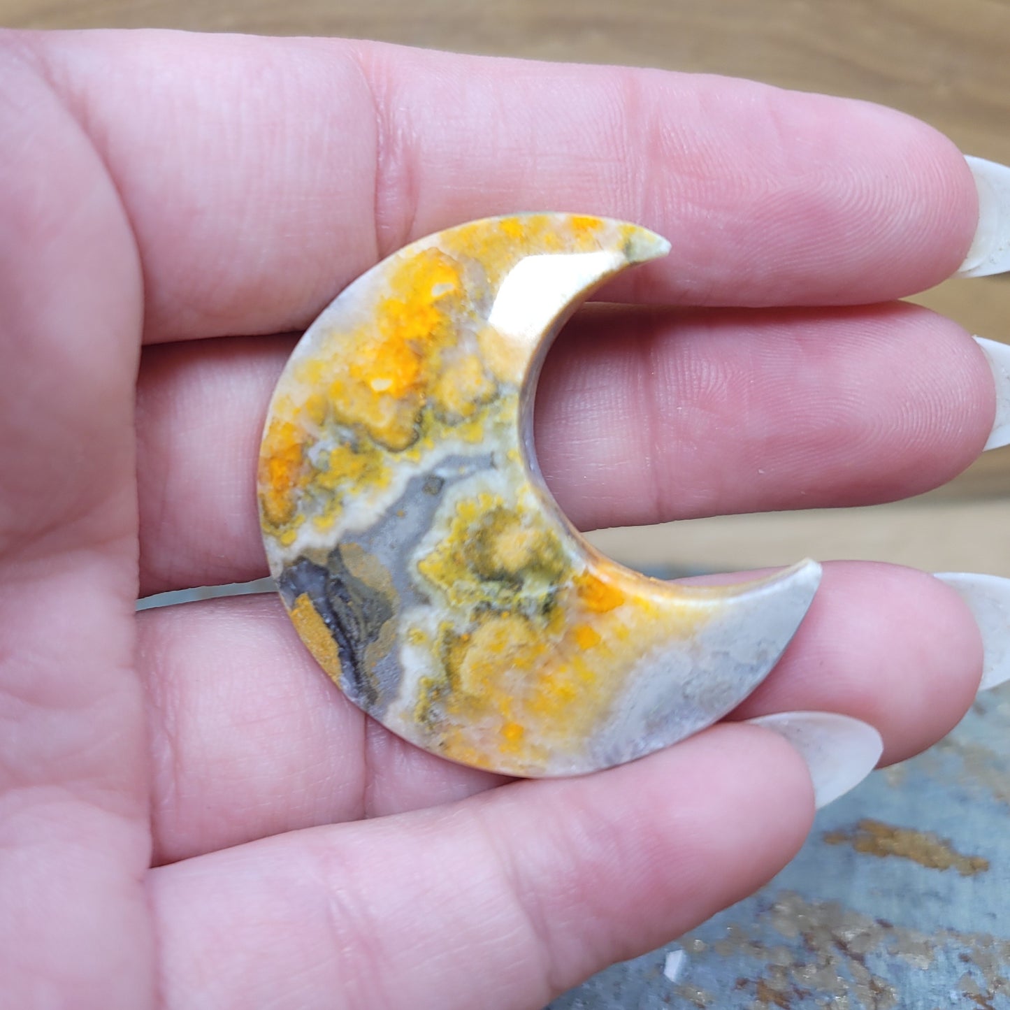 Bumblebee Jasper Moon