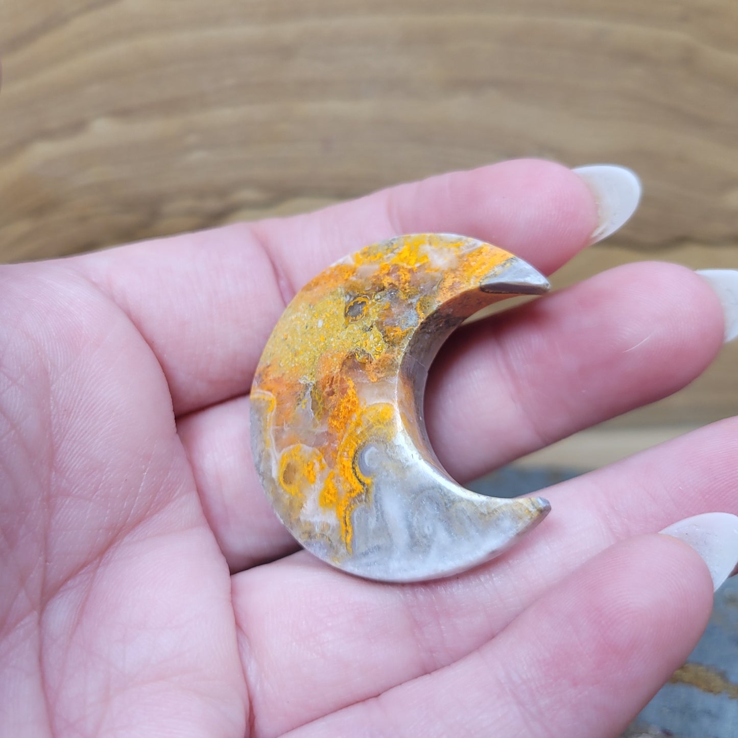 Bumblebee Jasper Moon