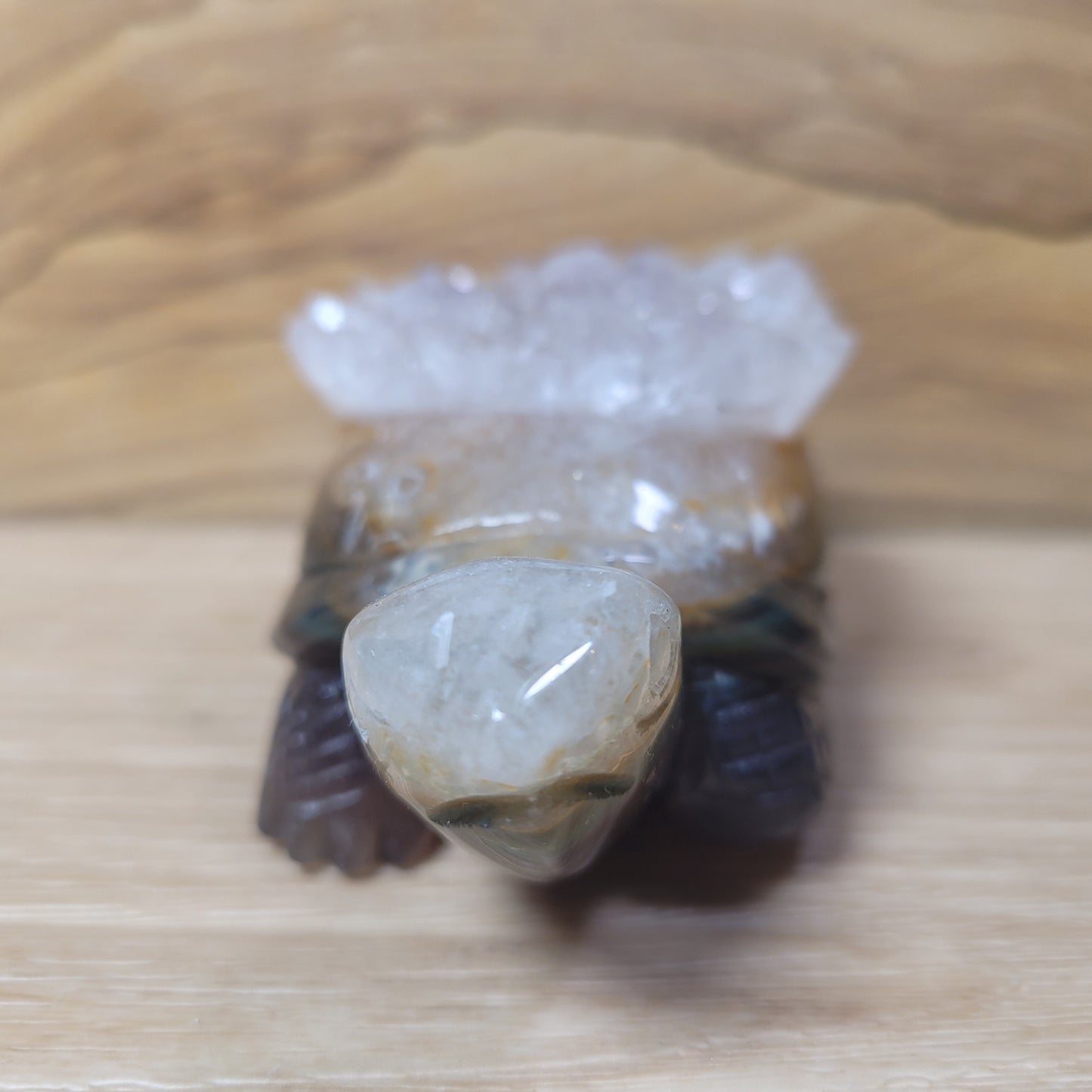 Agate & Quartz Turtle