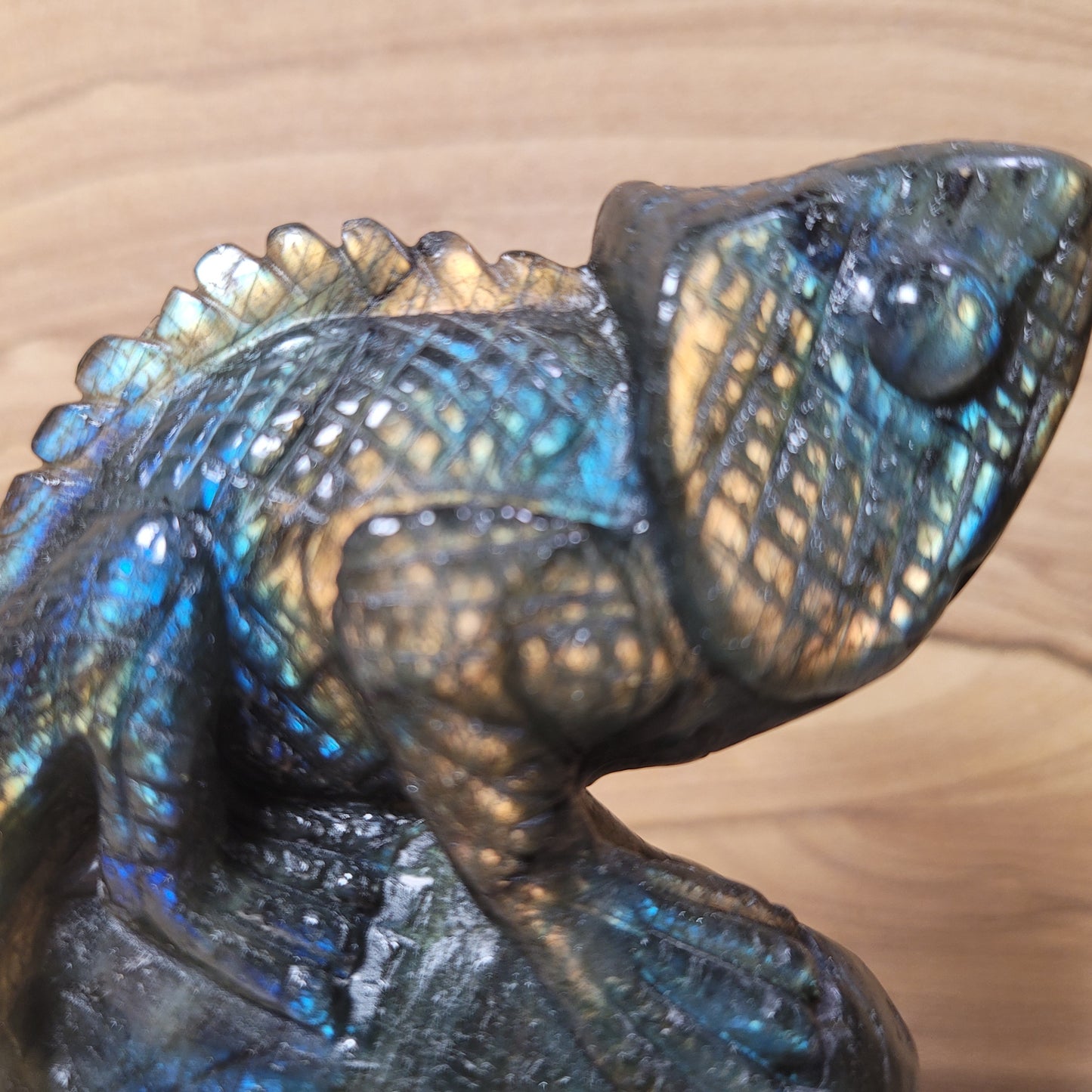 Labradorite Chameleon