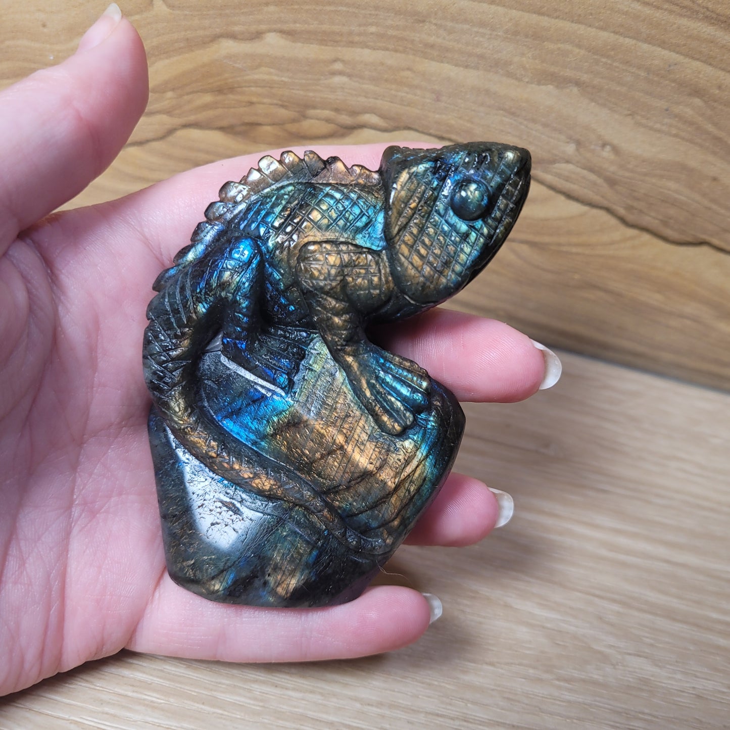 Labradorite Chameleon