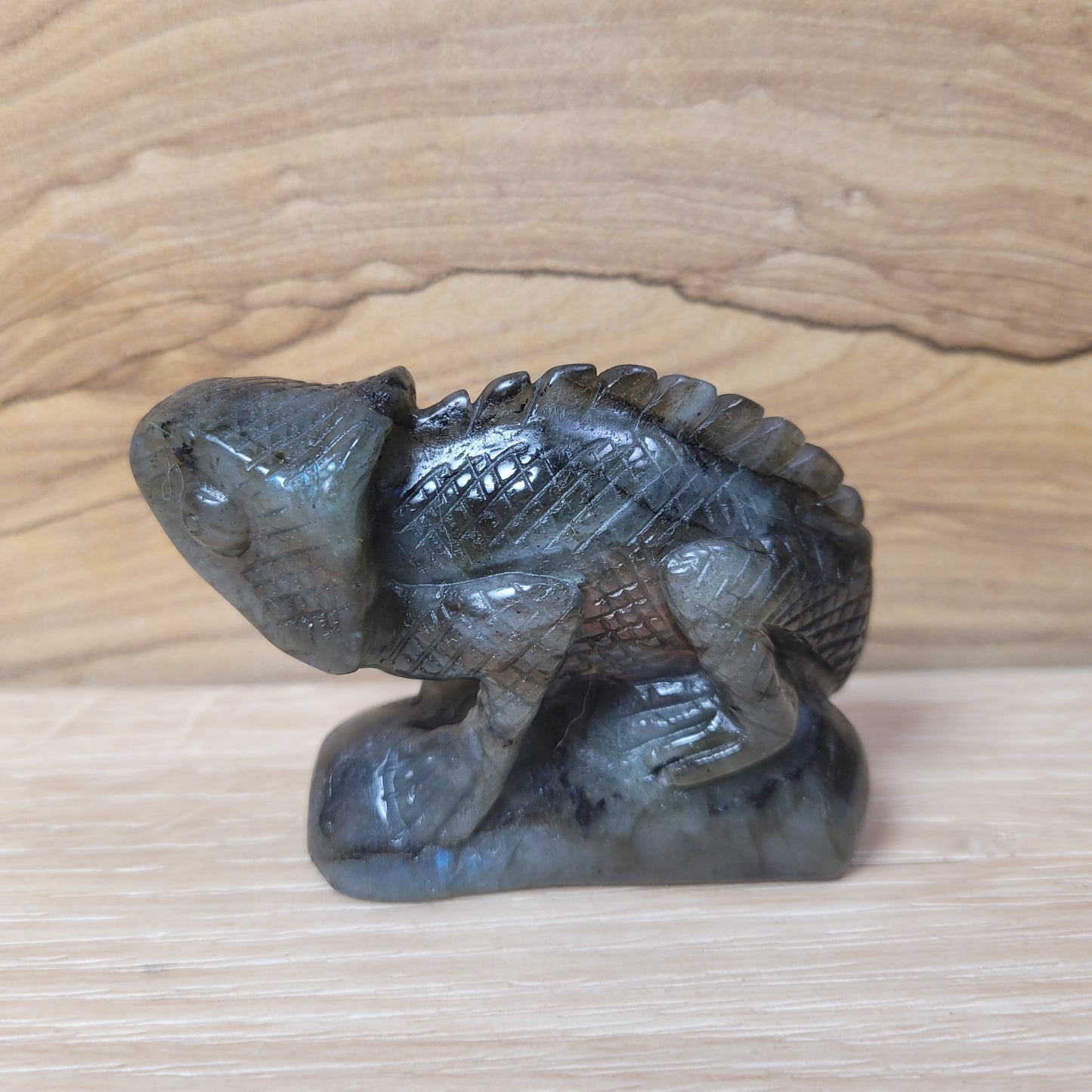 Labradorite Chameleon