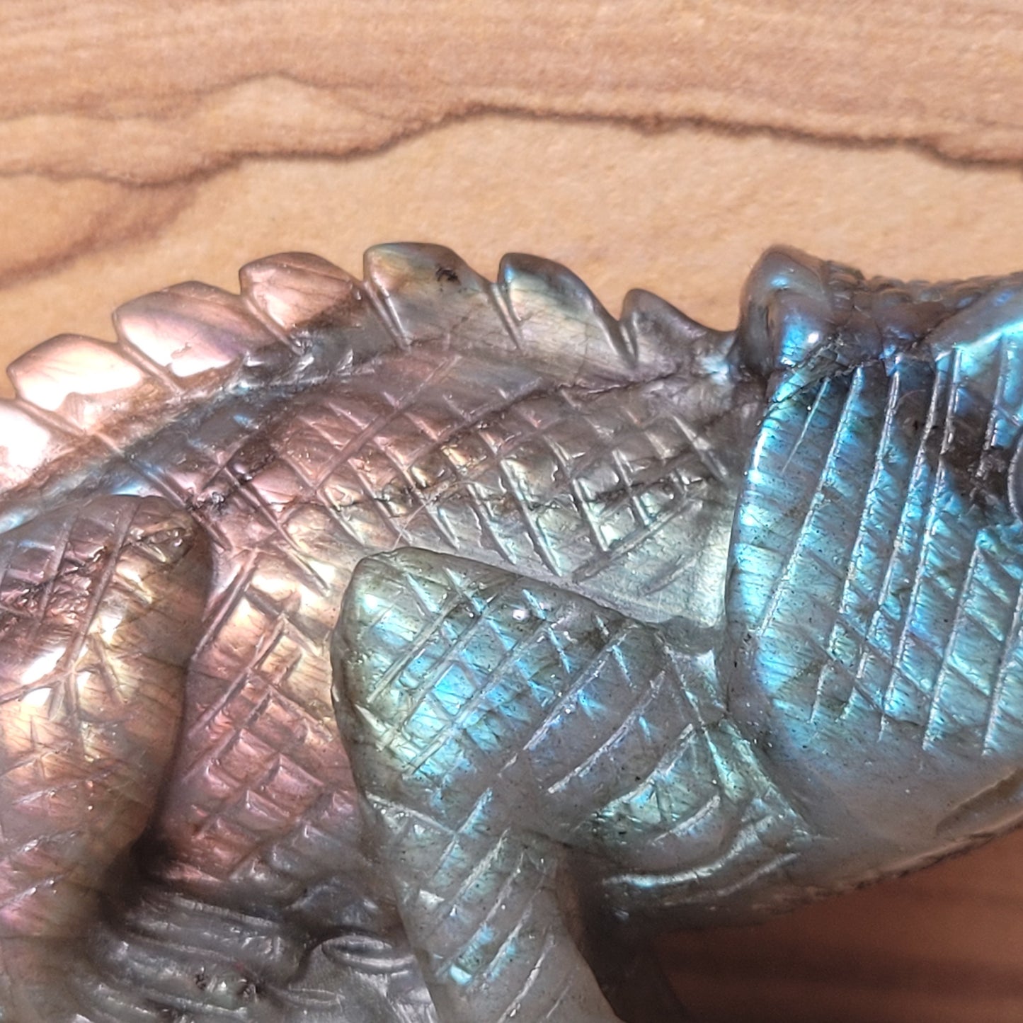 Labradorite Chameleon