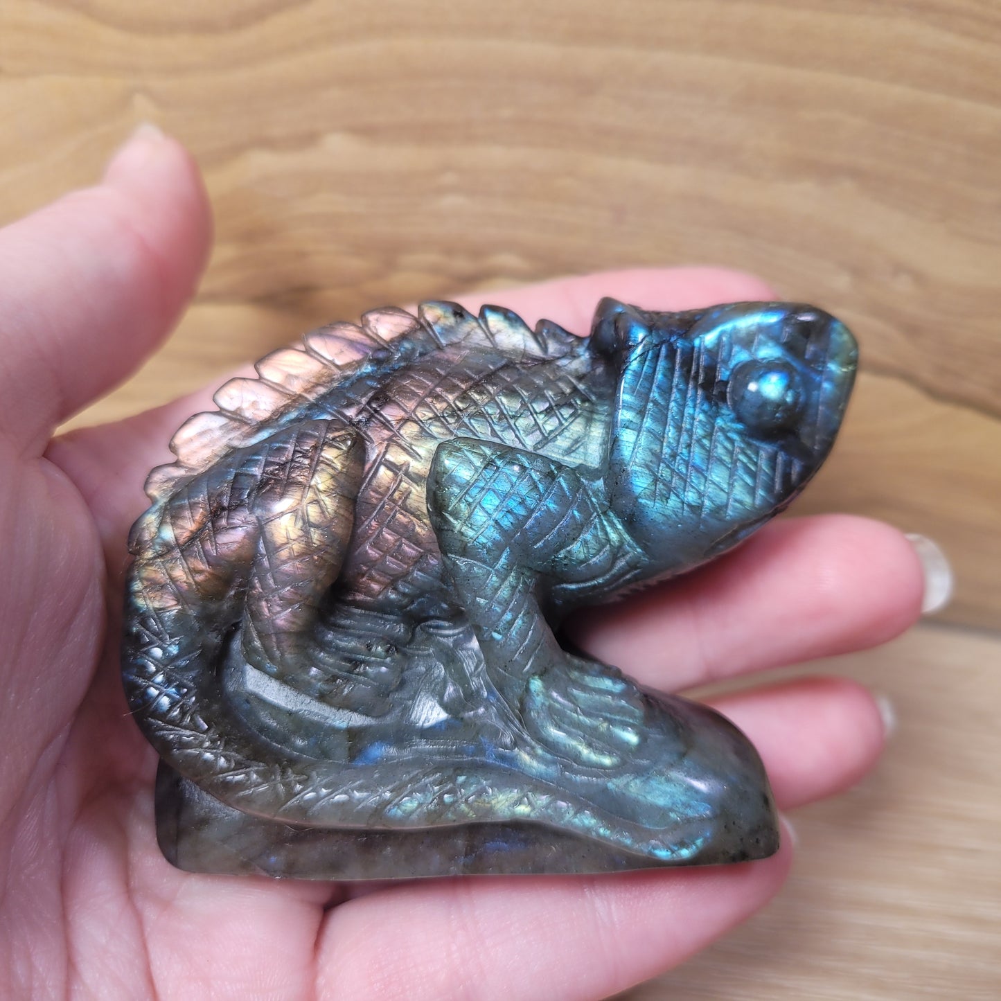 Labradorite Chameleon