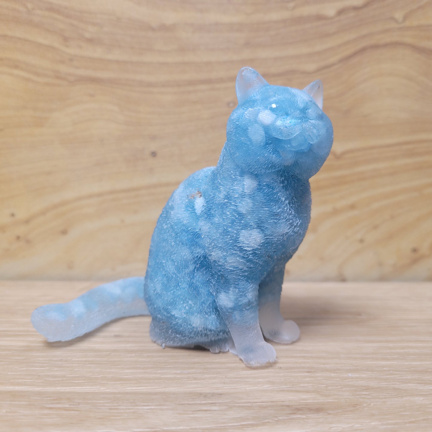 Cat - Crystal Chips in Resin