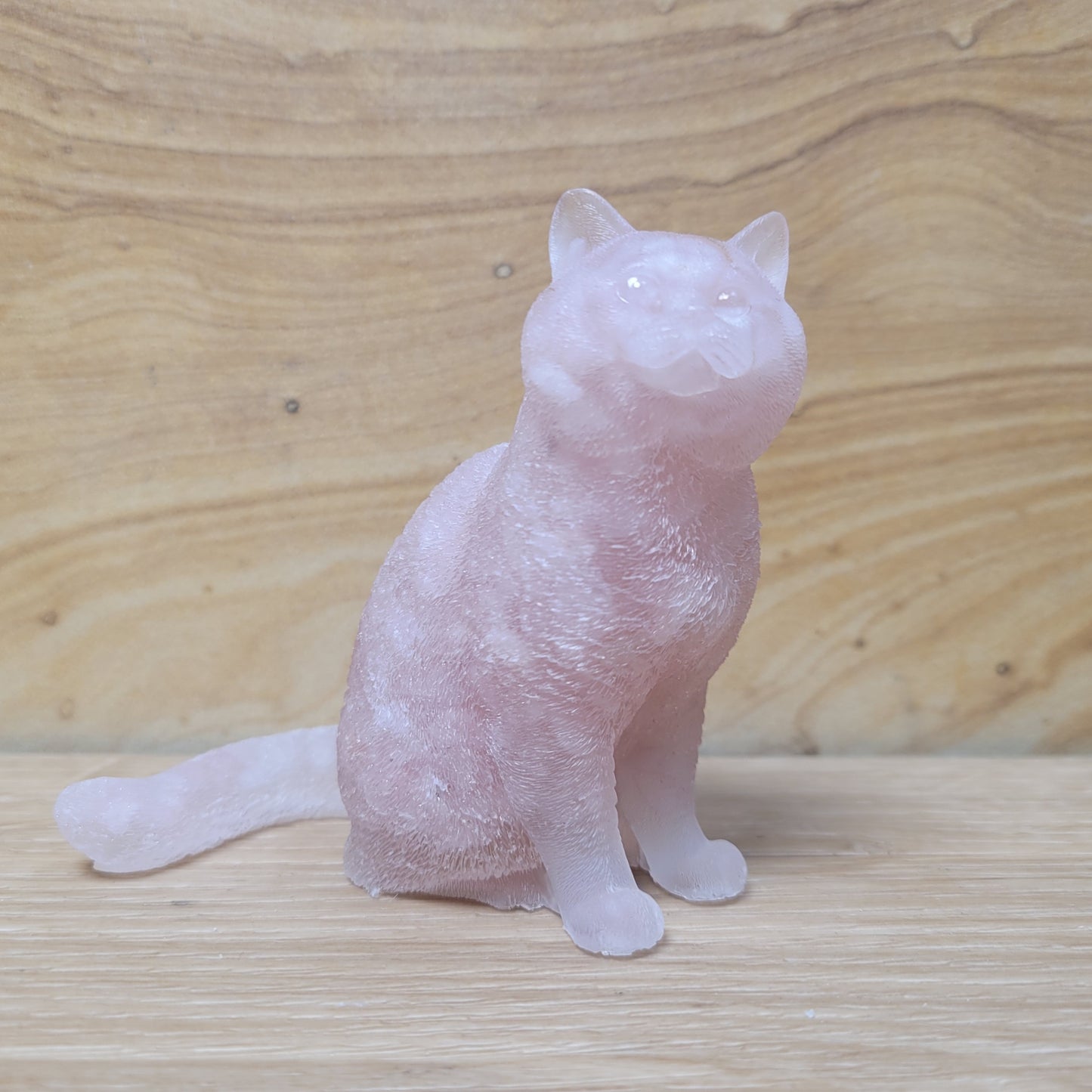 Cat - Crystal Chips in Resin