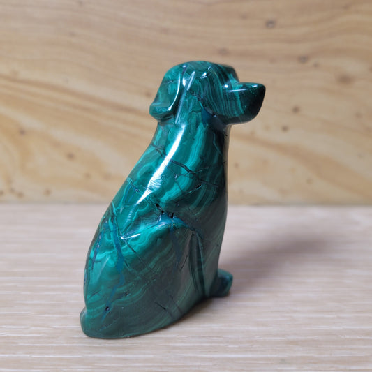 Malachite Dog
