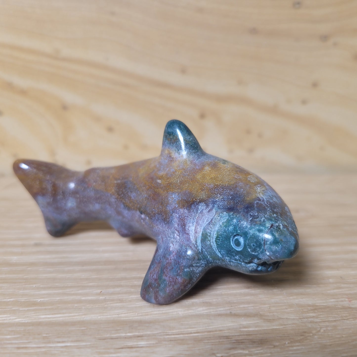 Ocean Jasper Shark