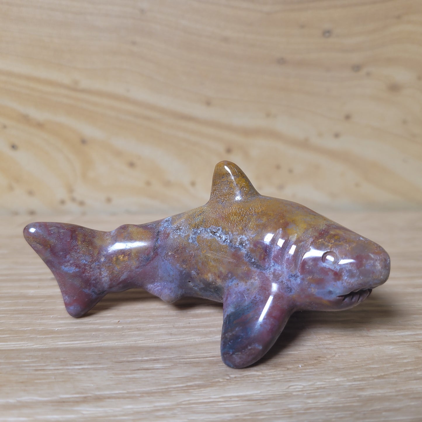 Ocean Jasper Shark