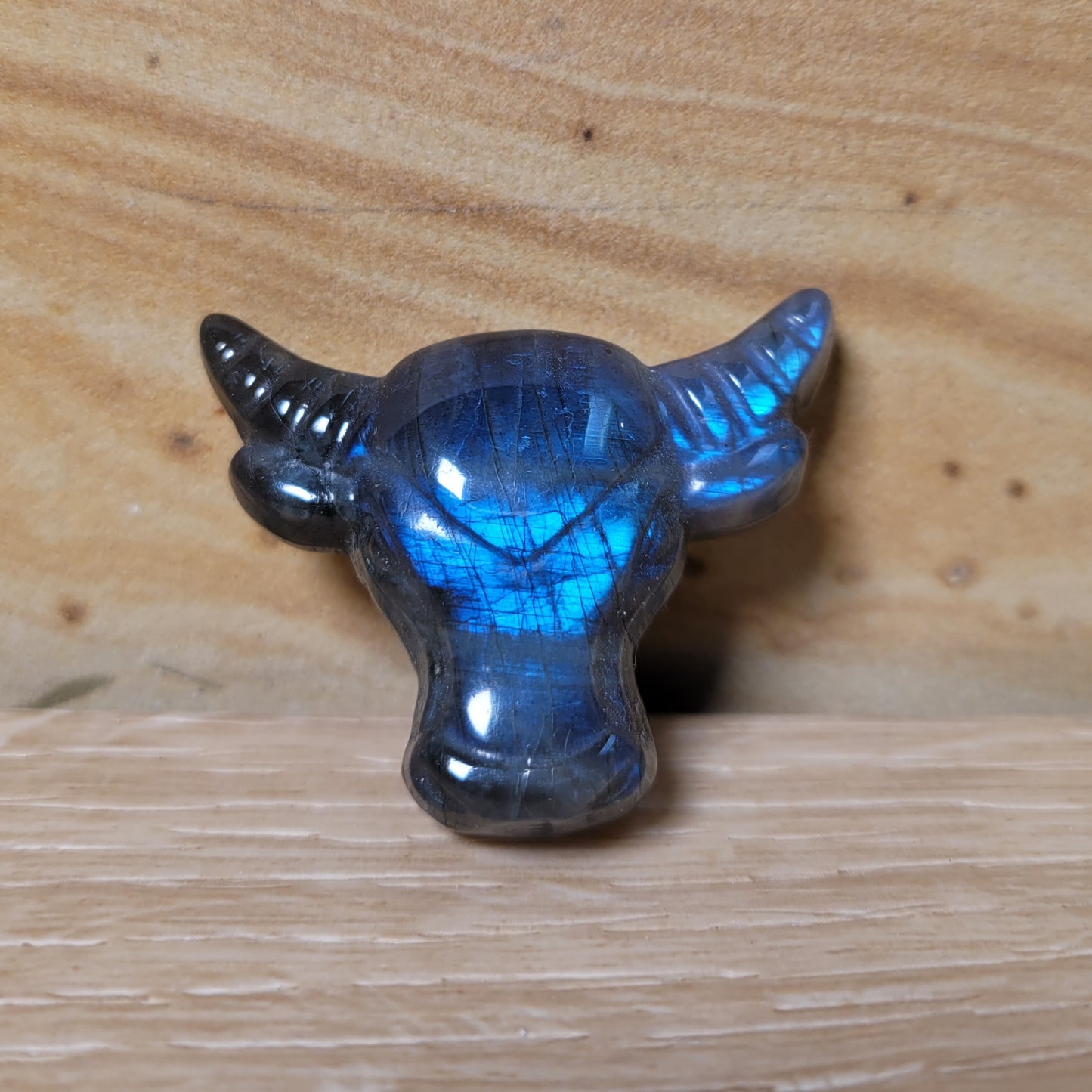 Labradorite Bull