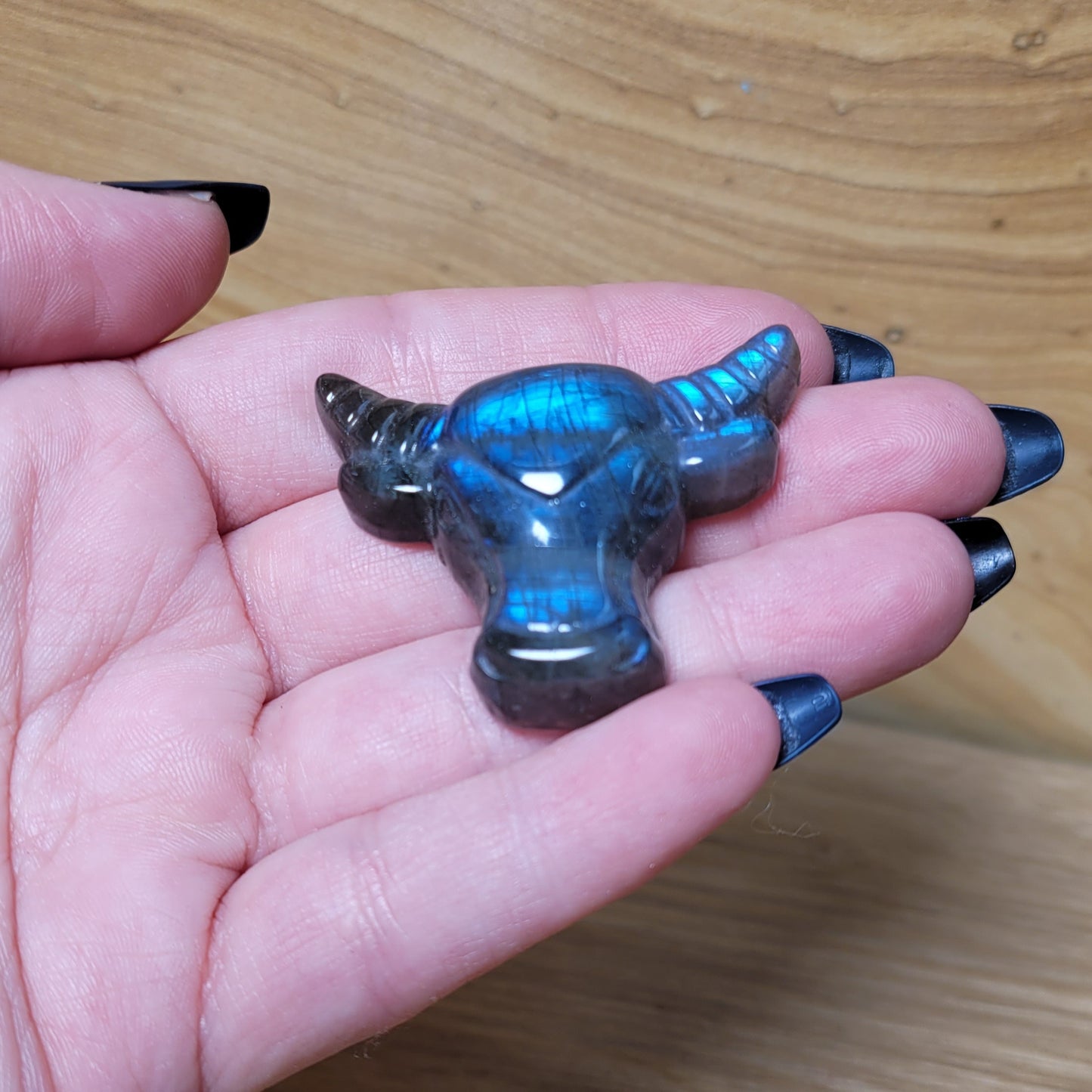 Labradorite Bull