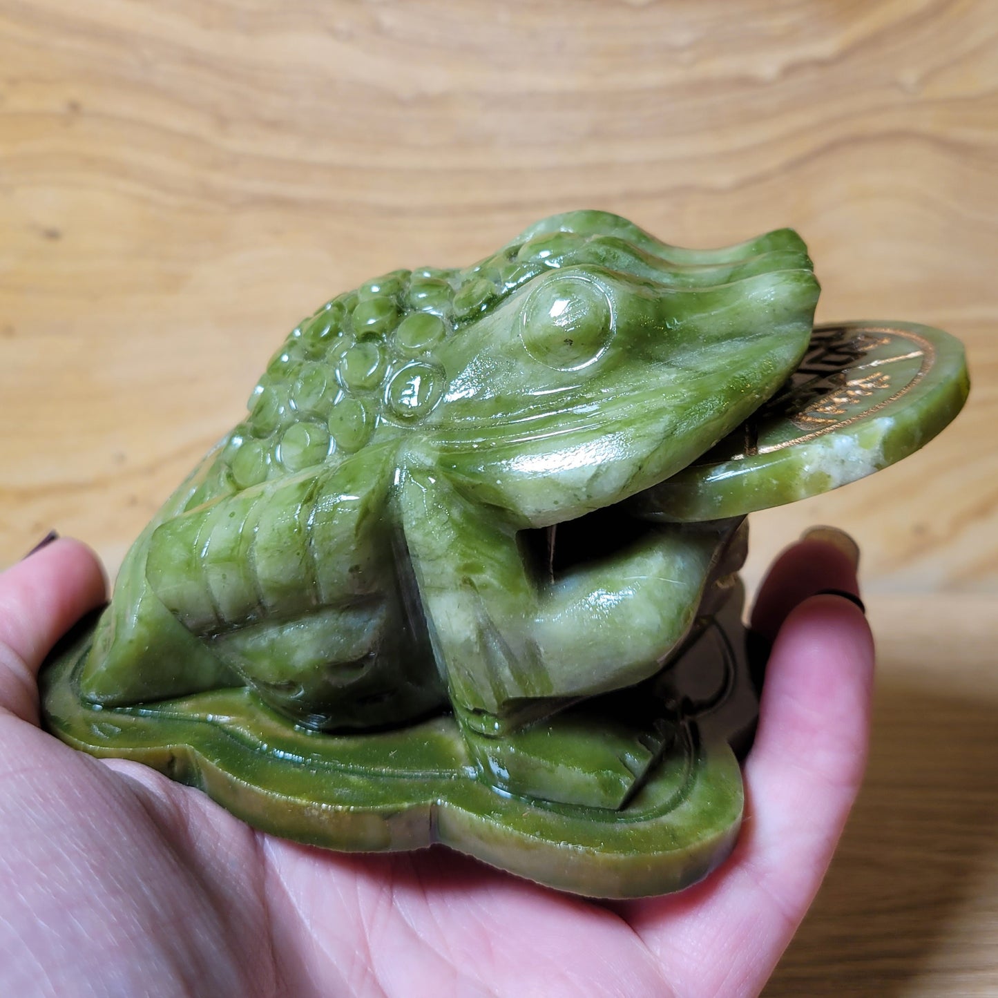 Feng Shui Money Frog - Medium