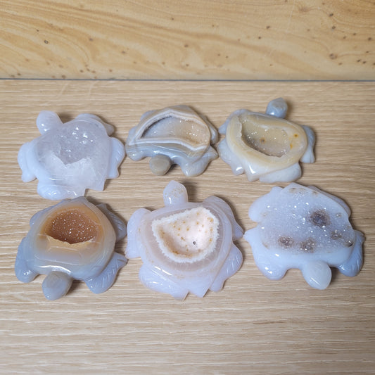 Druzy Agate Turtle