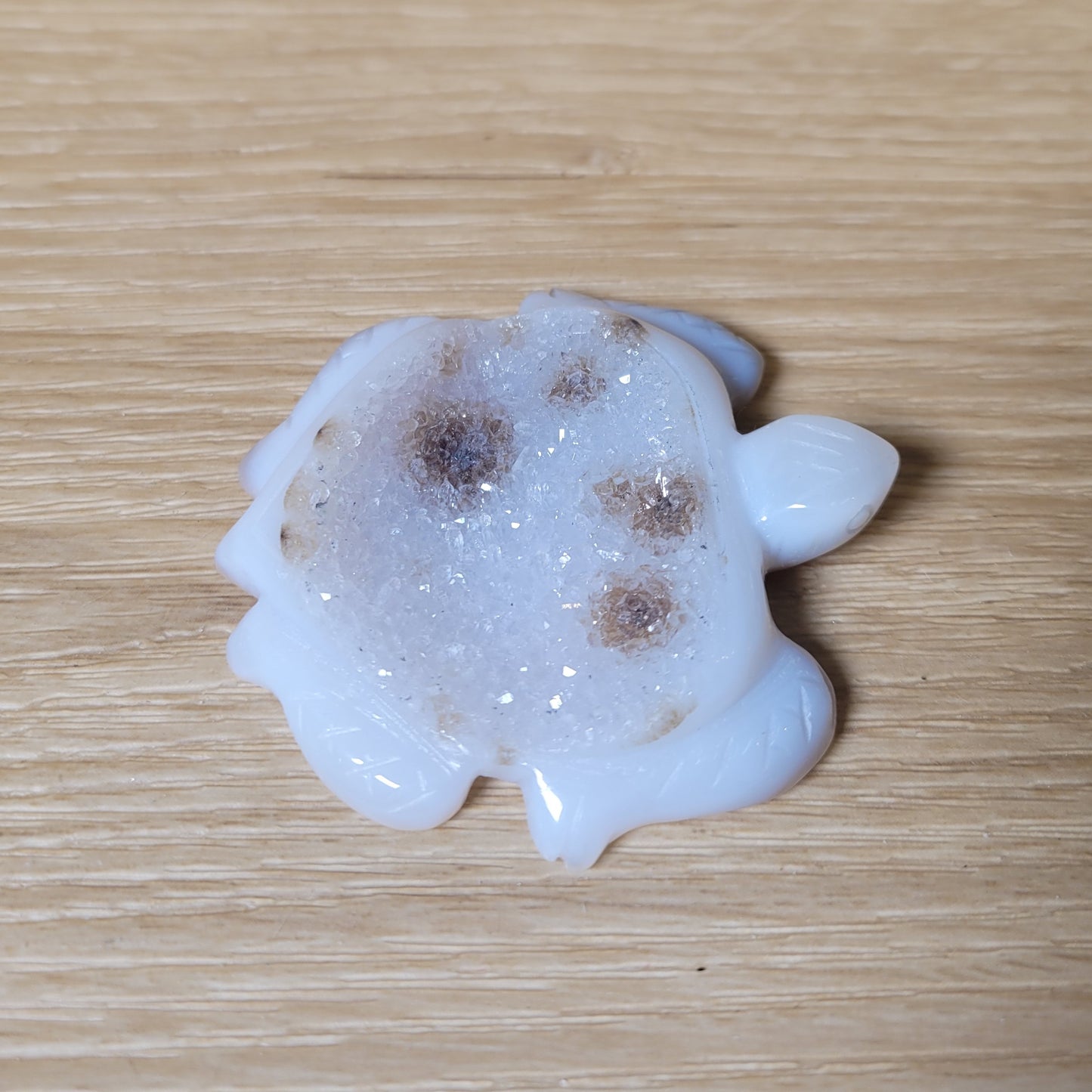 Druzy Agate Turtle