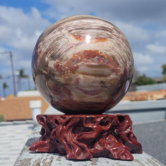 Petrified Wood Sphere