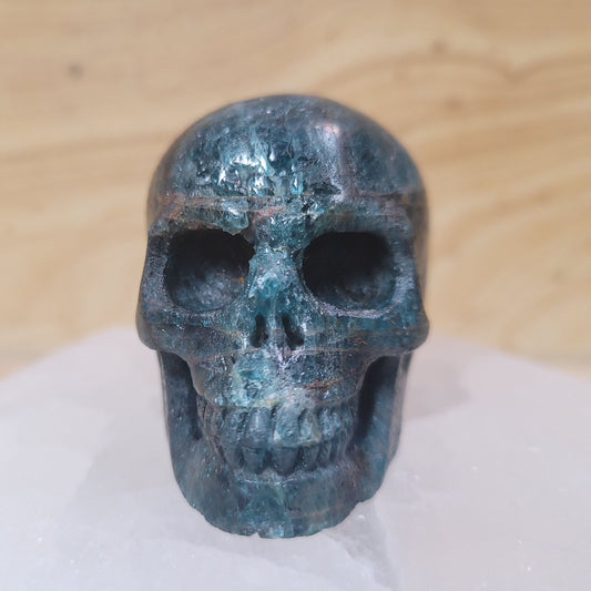  A beautifully crafted Blue Apatite Skull, showcasing its vibrant blue hues and intricate details, set against a soft, neutral background. This unique piece represents both artistic expression and the metaphysical properties of blue apatite, including mental clarity and enhanced communication.