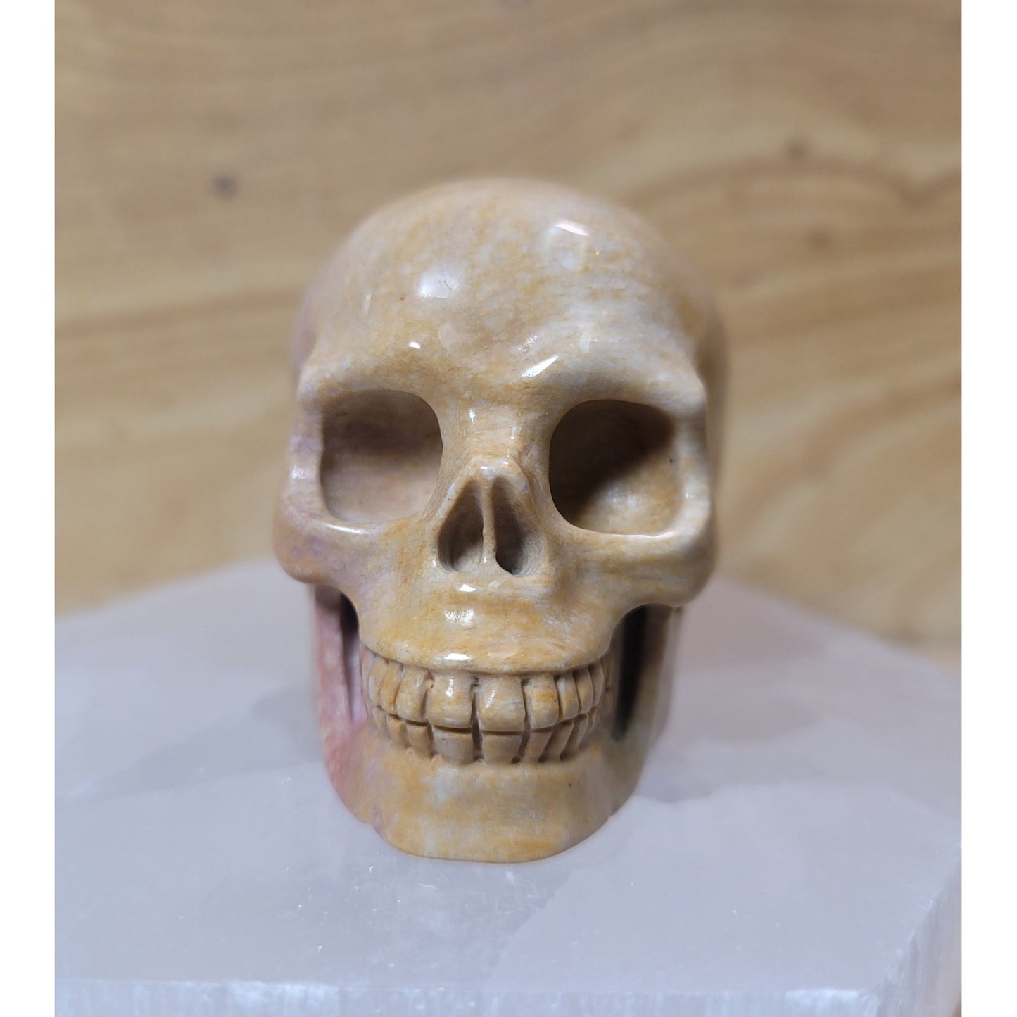 Coral Fossil Skull – Featuring intricate patterns and textures, this unique skull is carved from fossilized coral, offering grounding and protective properties. A symbol of transformation and resilience, it combines ancient beauty with metaphysical benefits, making it a distinctive addition to any collection.