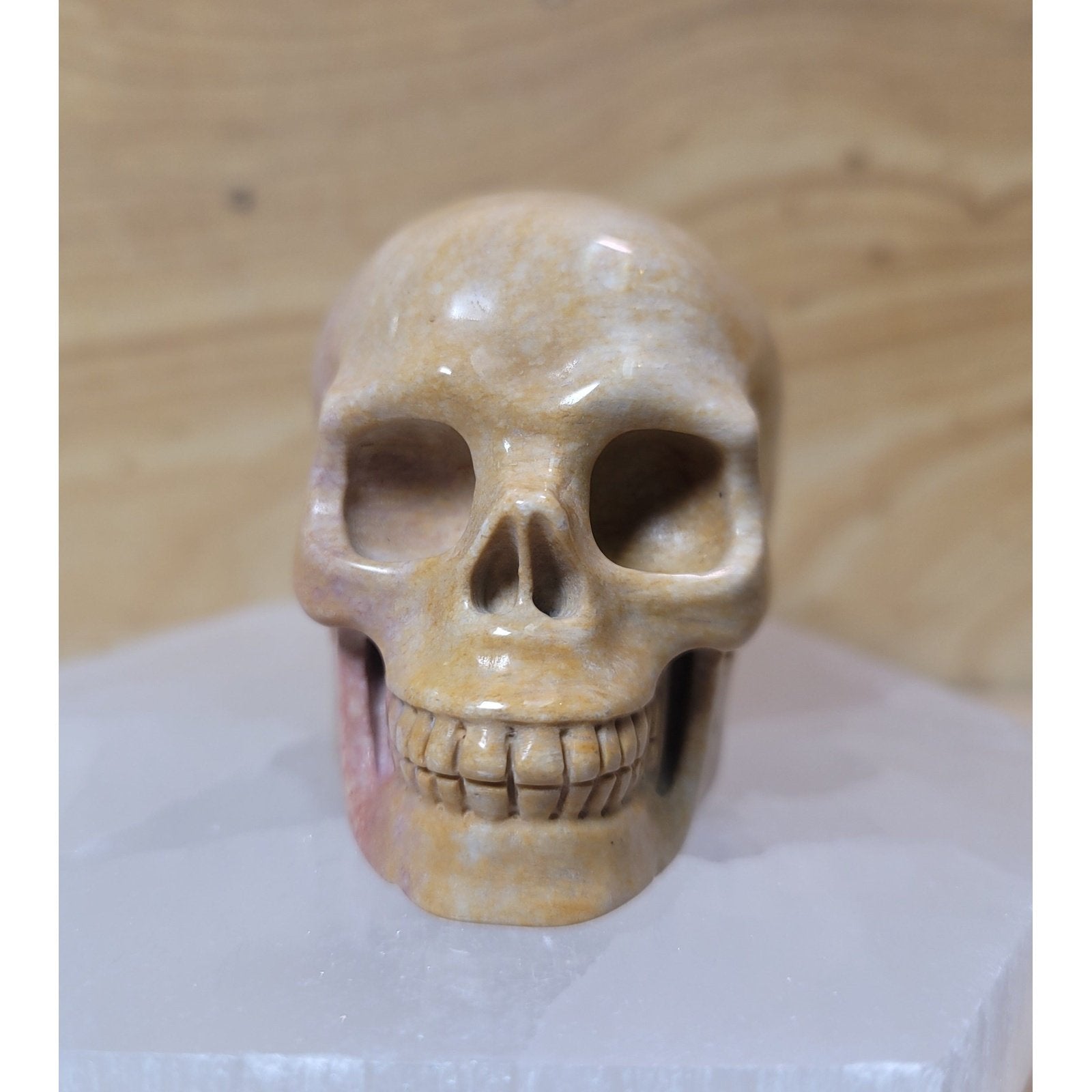 Coral Fossil Skull – Featuring intricate patterns and textures, this unique skull is carved from fossilized coral, offering grounding and protective properties. A symbol of transformation and resilience, it combines ancient beauty with metaphysical benefits, making it a distinctive addition to any collection.