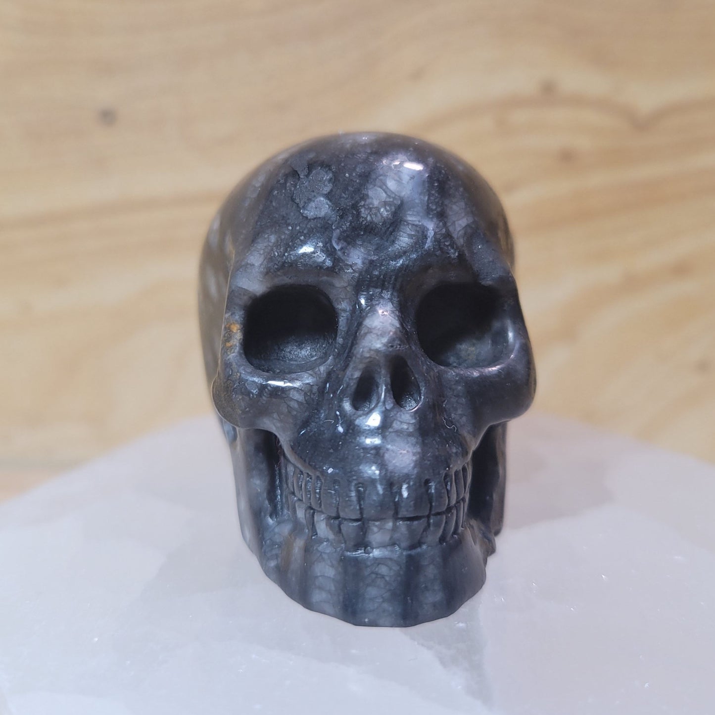 Coral Fossil Skull – Featuring intricate patterns and textures, this unique skull is carved from fossilized coral, offering grounding and protective properties. A symbol of transformation and resilience, it combines ancient beauty with metaphysical benefits, making it a distinctive addition to any collection.