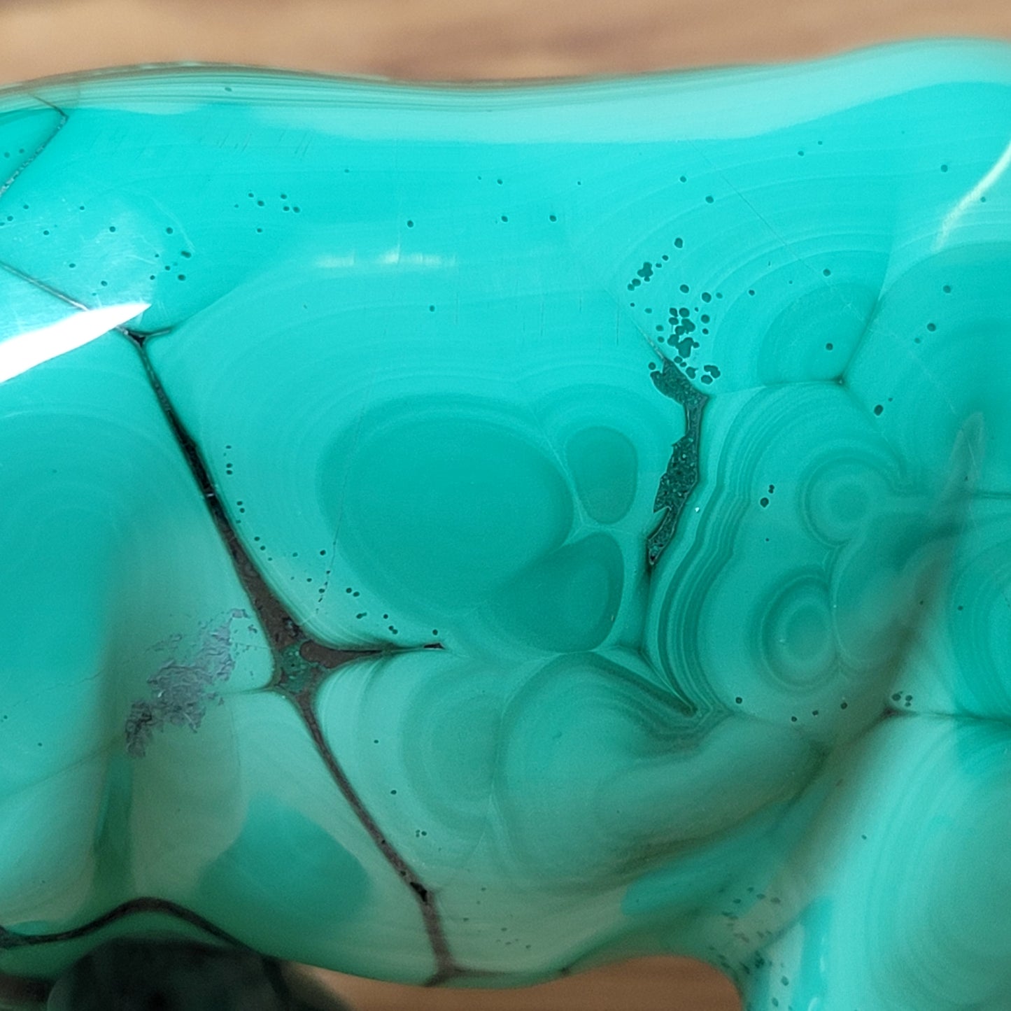 Close-up of a Green Malachite with beautiful swirl pattern 