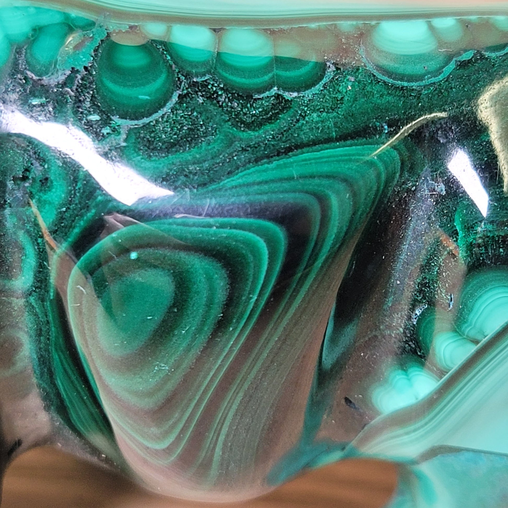 Close-up of a green Malachite