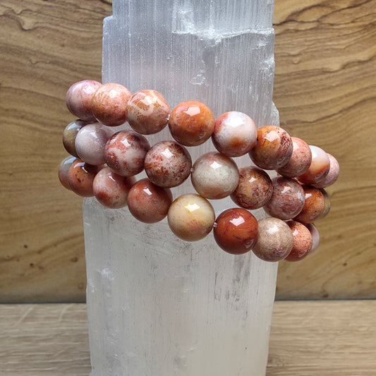 Natural Fossil Coral Bracelet – 8mm to 8.5mm