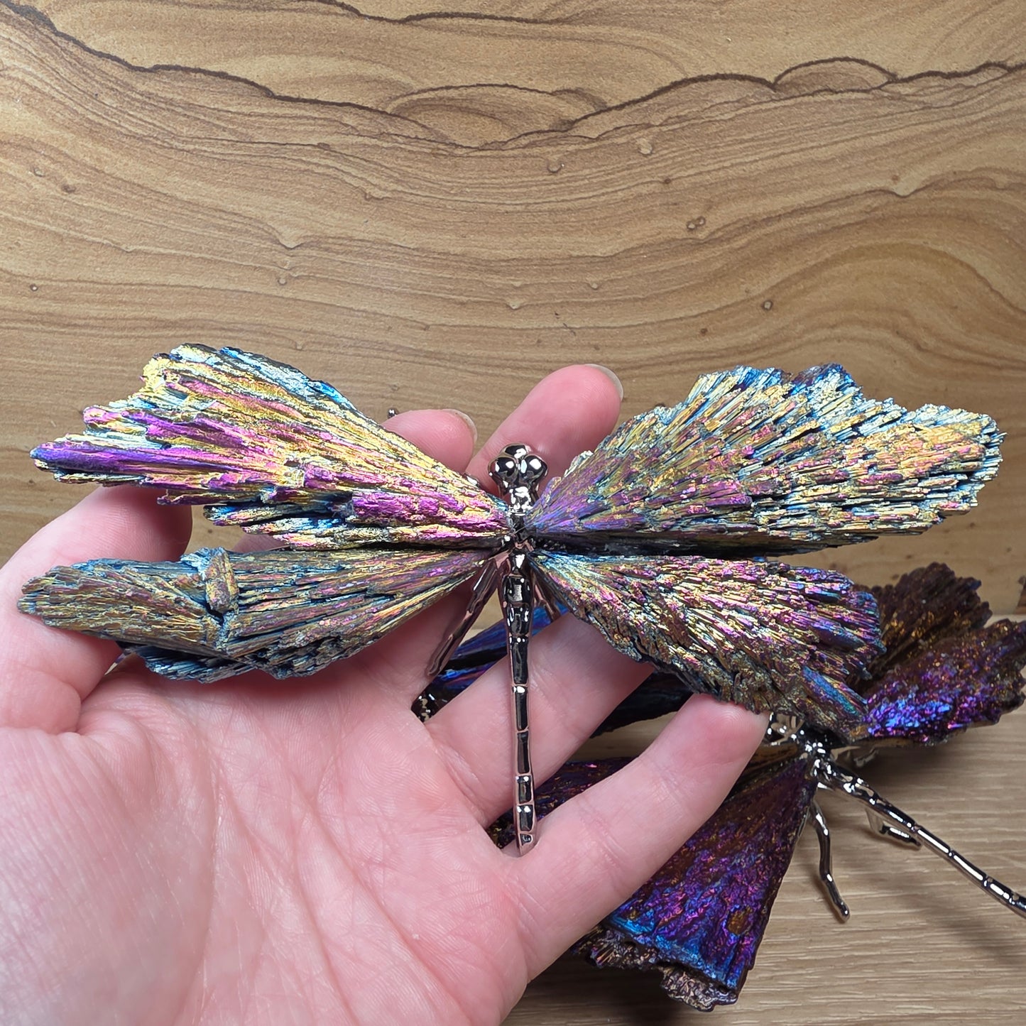 Titanium Aura Black Kyanite Dragonfly