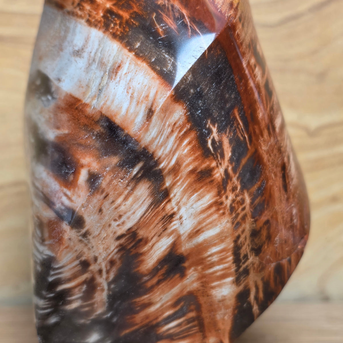 Petrified Wood Flame
