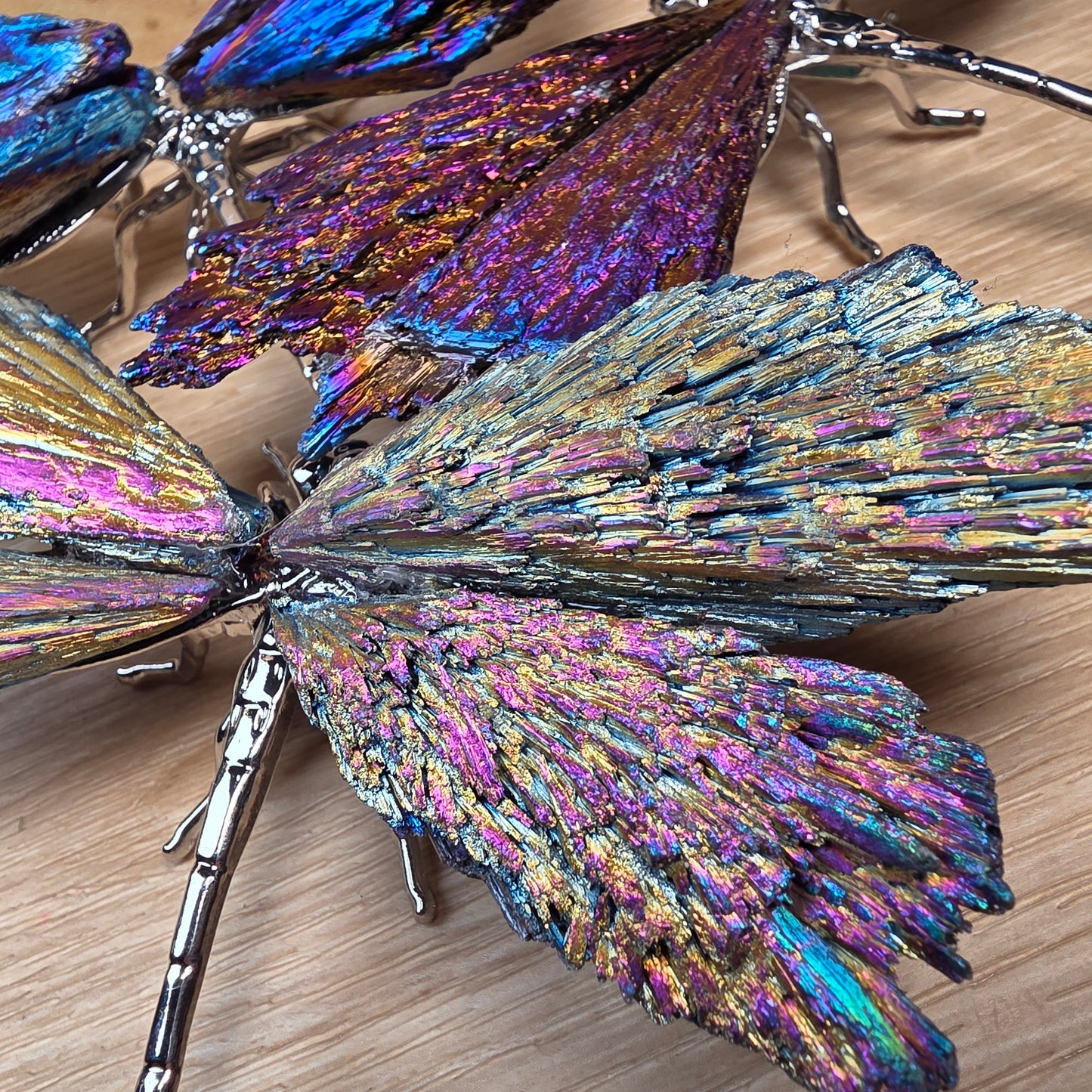 Titanium Aura Black Kyanite Dragonfly