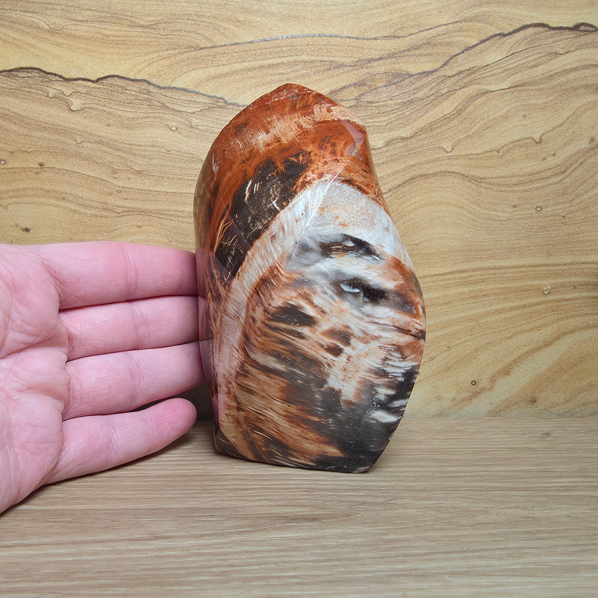 Petrified Wood Flame