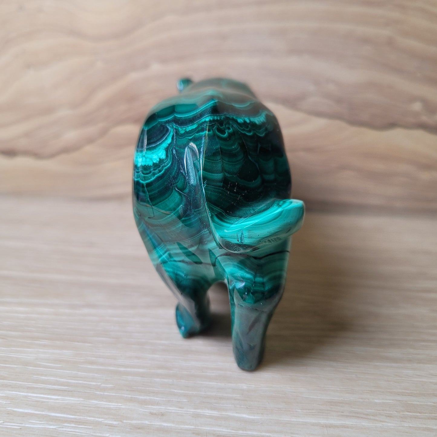 Malachite Rhinoceros