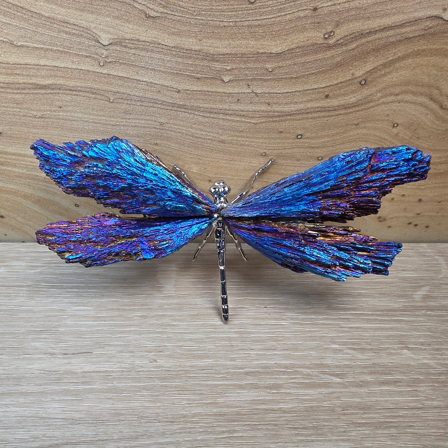 Titanium Aura Black Kyanite Dragonfly