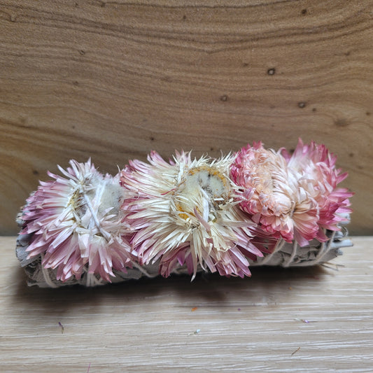 Strawflower Helichrysum Sage