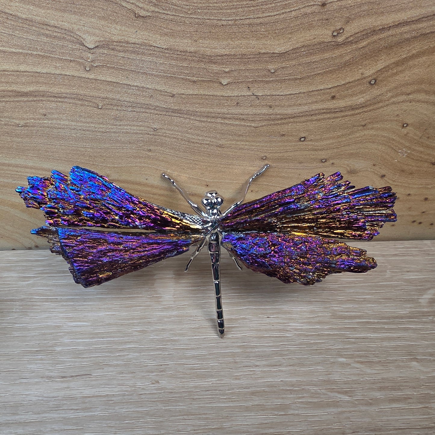 Titanium Aura Black Kyanite Dragonfly