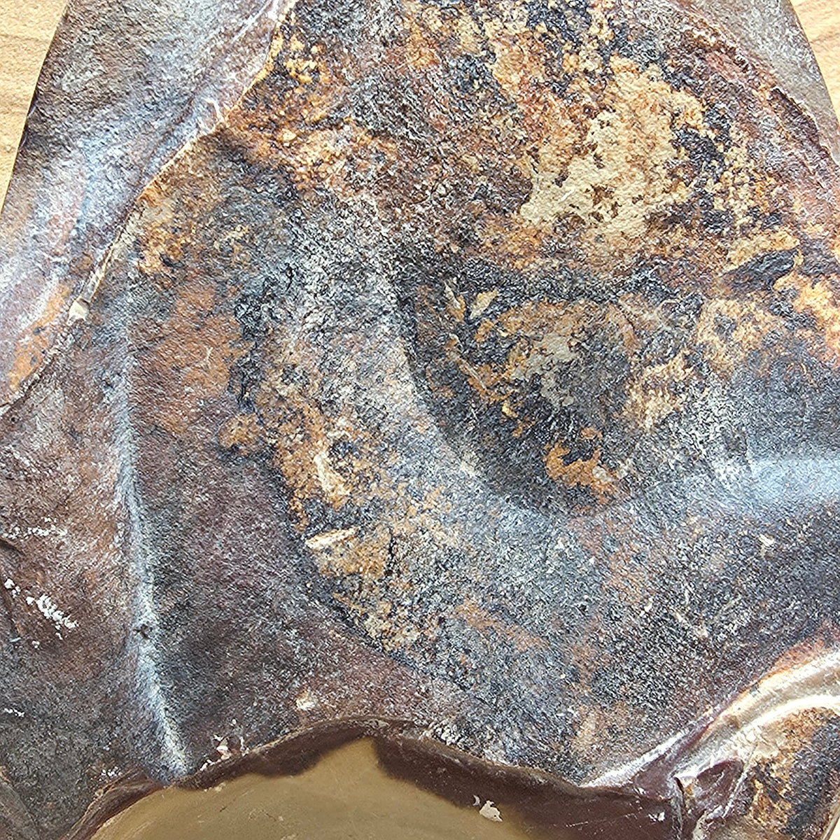 Polychrome Jasper Polished & Raw Freeform