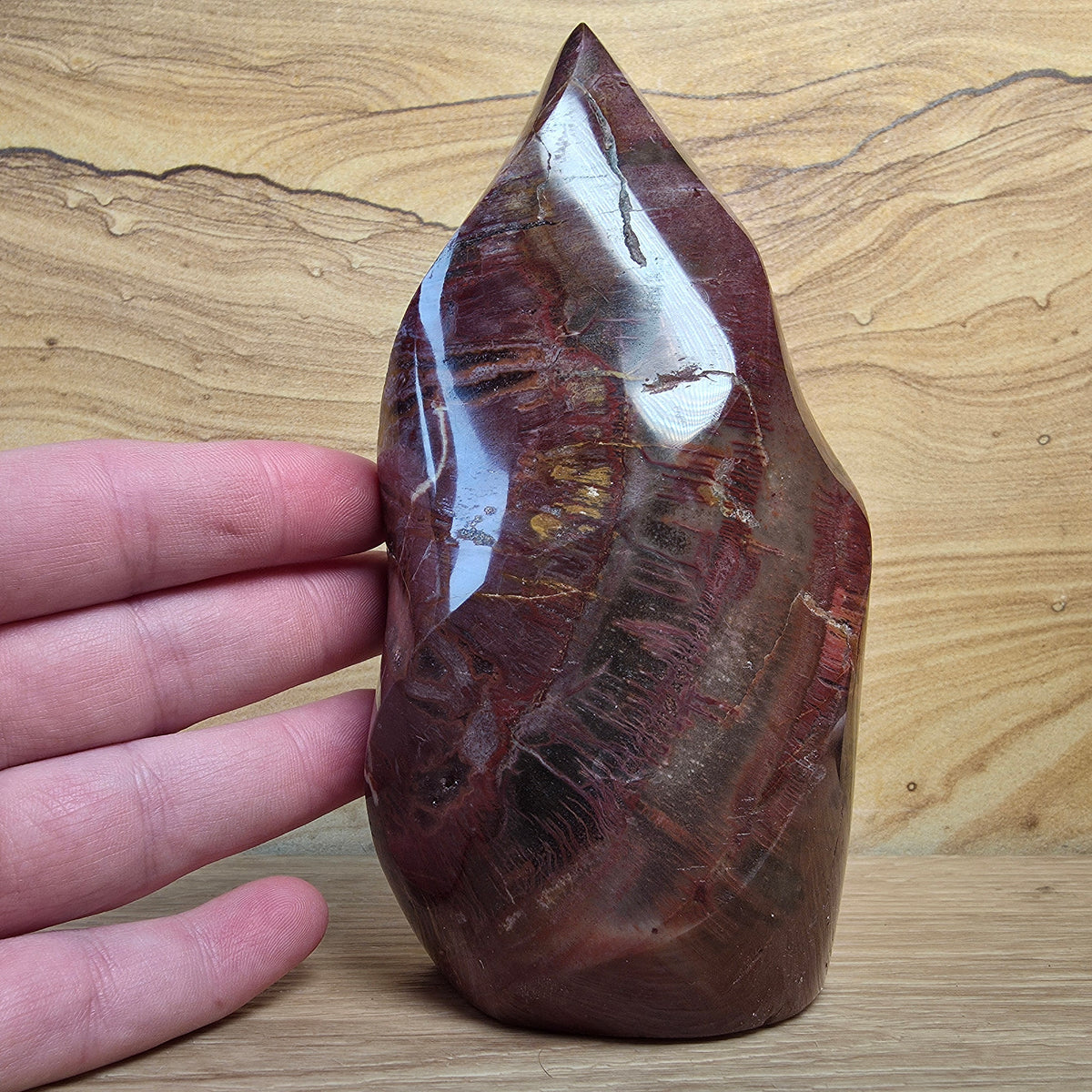Petrified Wood Flame