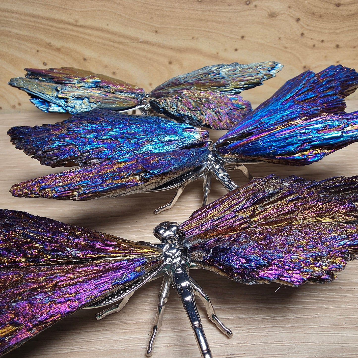 Titanium Aura Black Kyanite Dragonfly