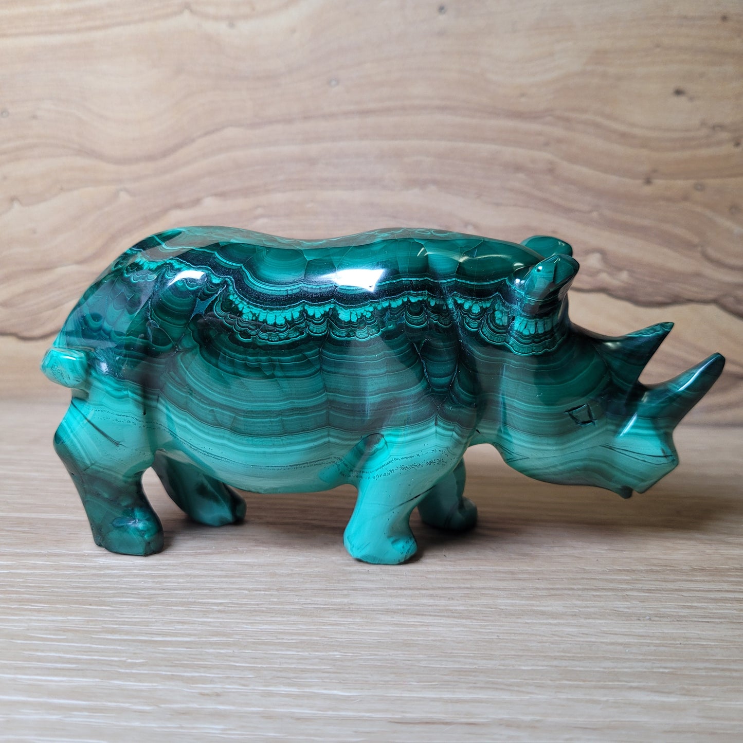 Malachite Rhinoceros