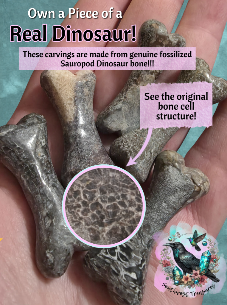 Real Fossilized Dinosaur Bone Carving | Sauropod Fossil