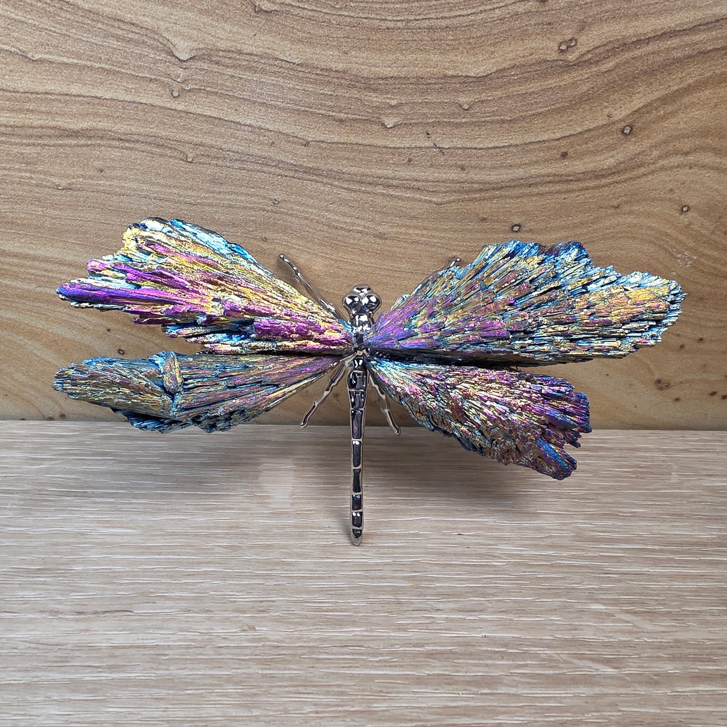 Titanium Aura Black Kyanite Dragonfly