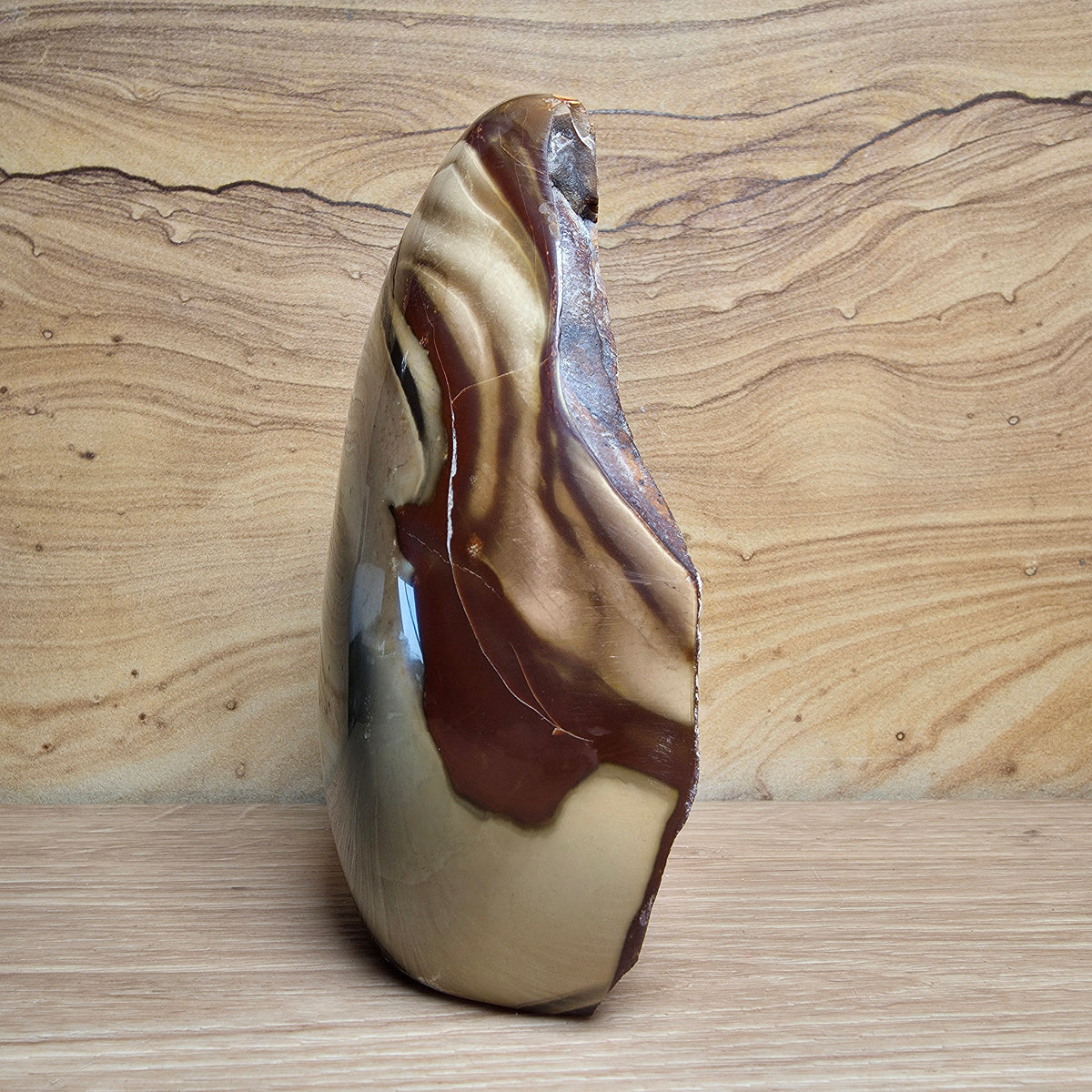Polychrome Jasper Polished & Raw Freeform