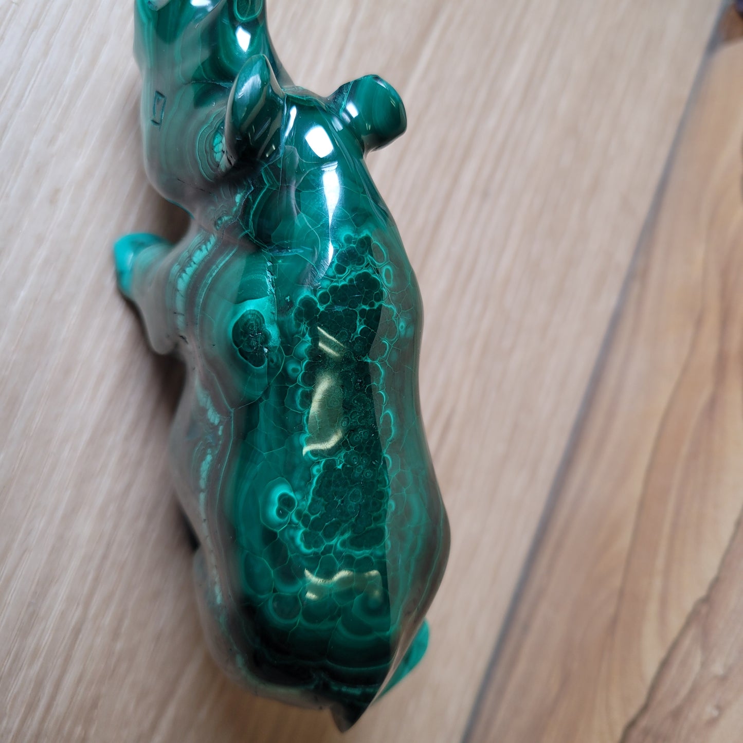 Malachite Rhinoceros