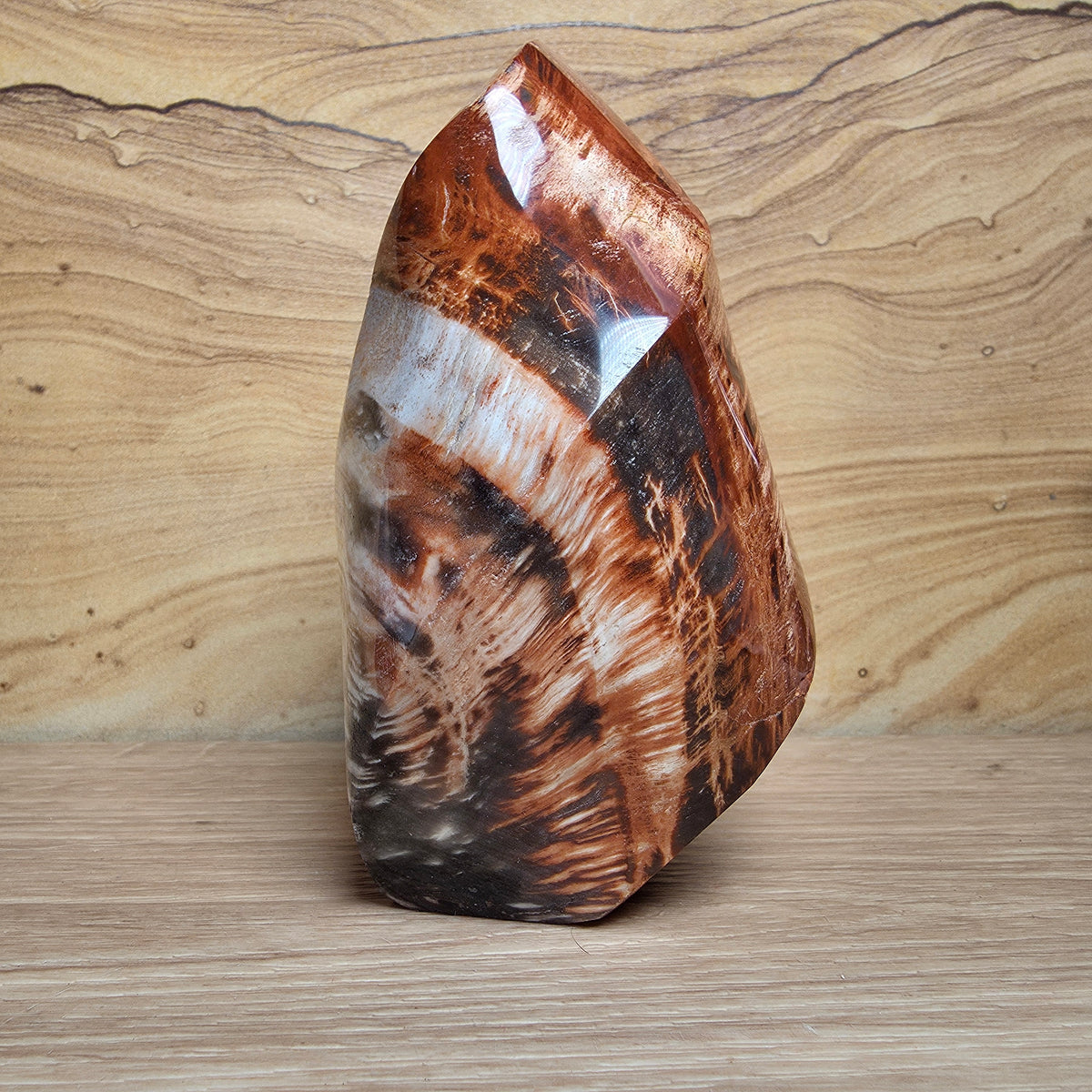 Petrified Wood Flame