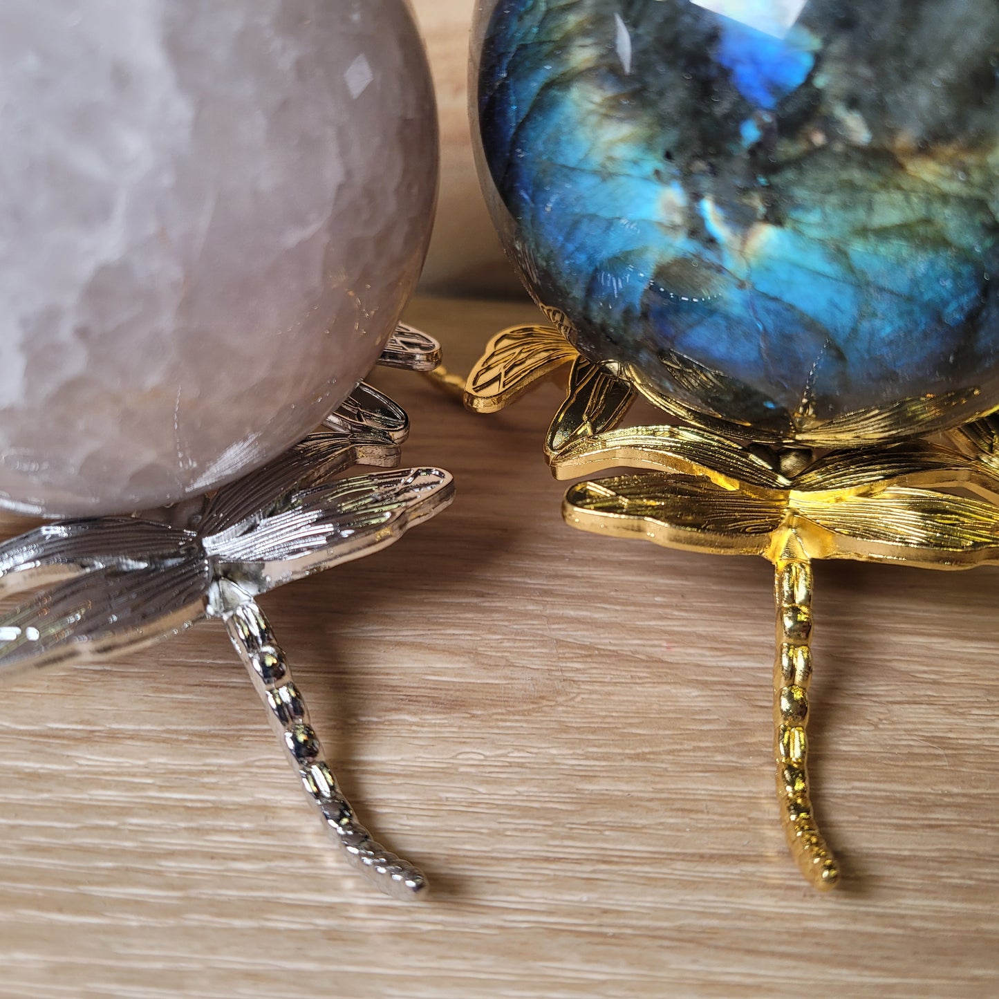 Dragonfly (Large) Sphere Holder