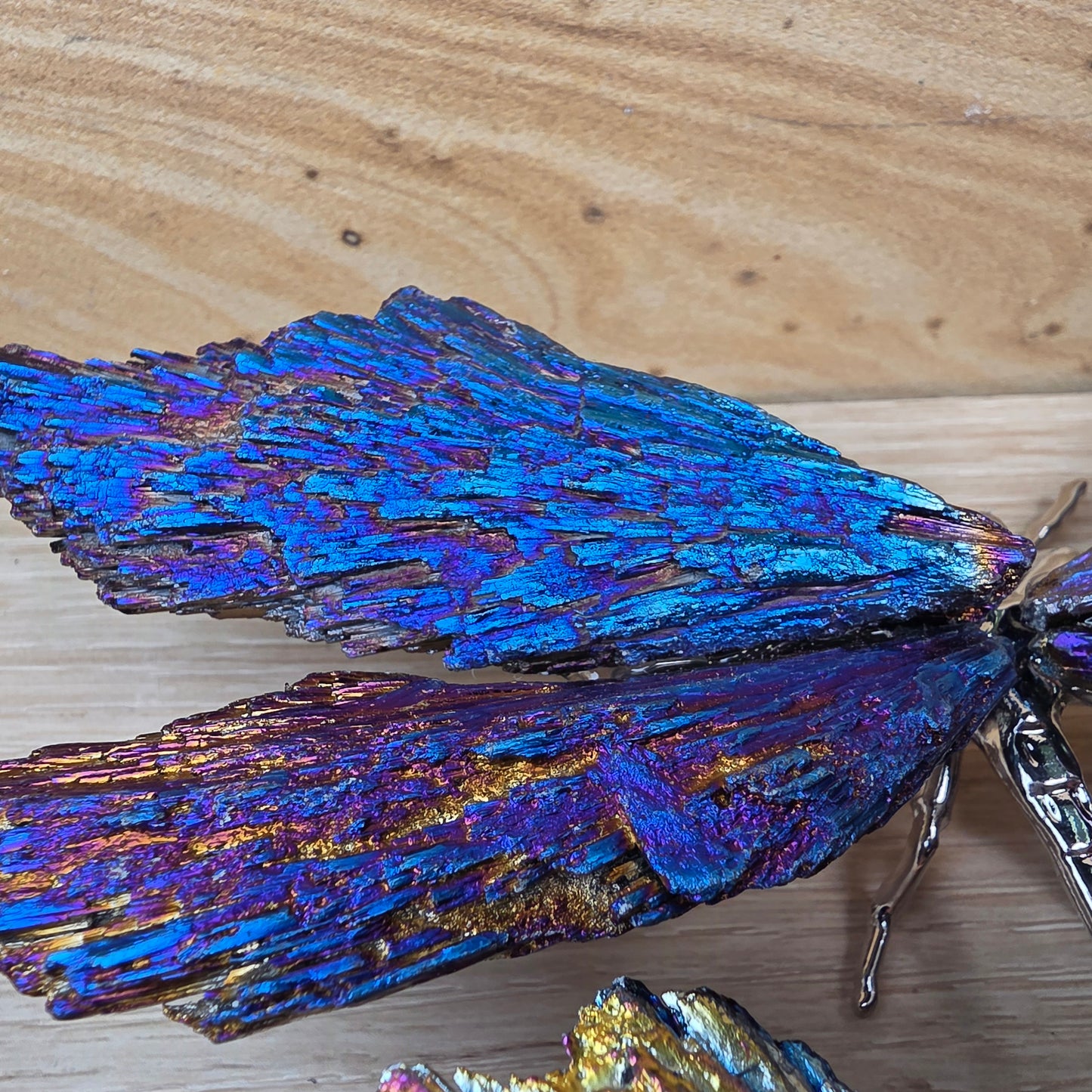Titanium Aura Black Kyanite Dragonfly