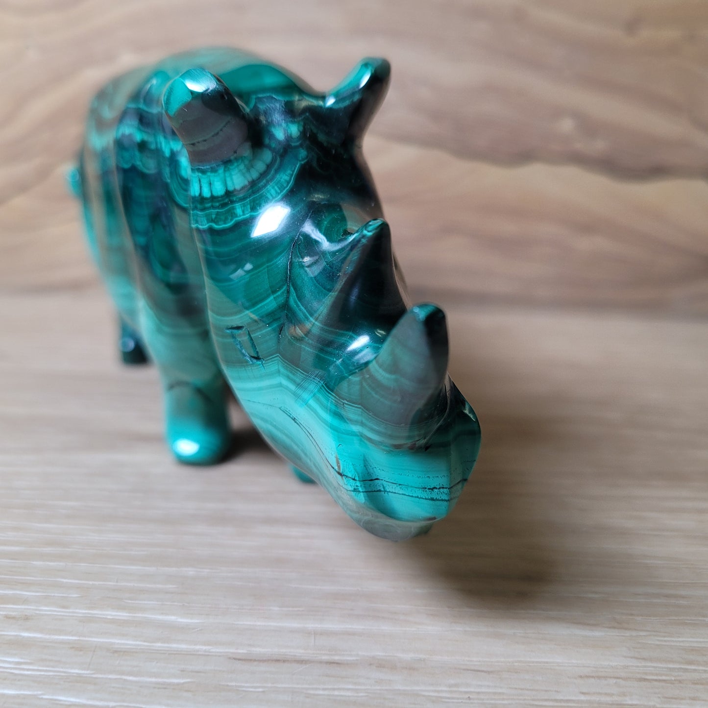Malachite Rhinoceros