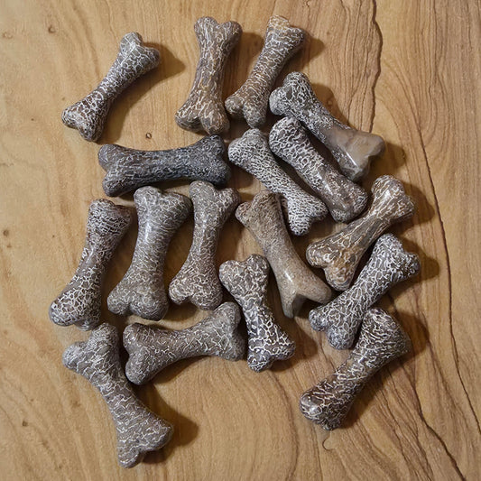 Real Fossilized Dinosaur Bone Carving | Sauropod Fossil