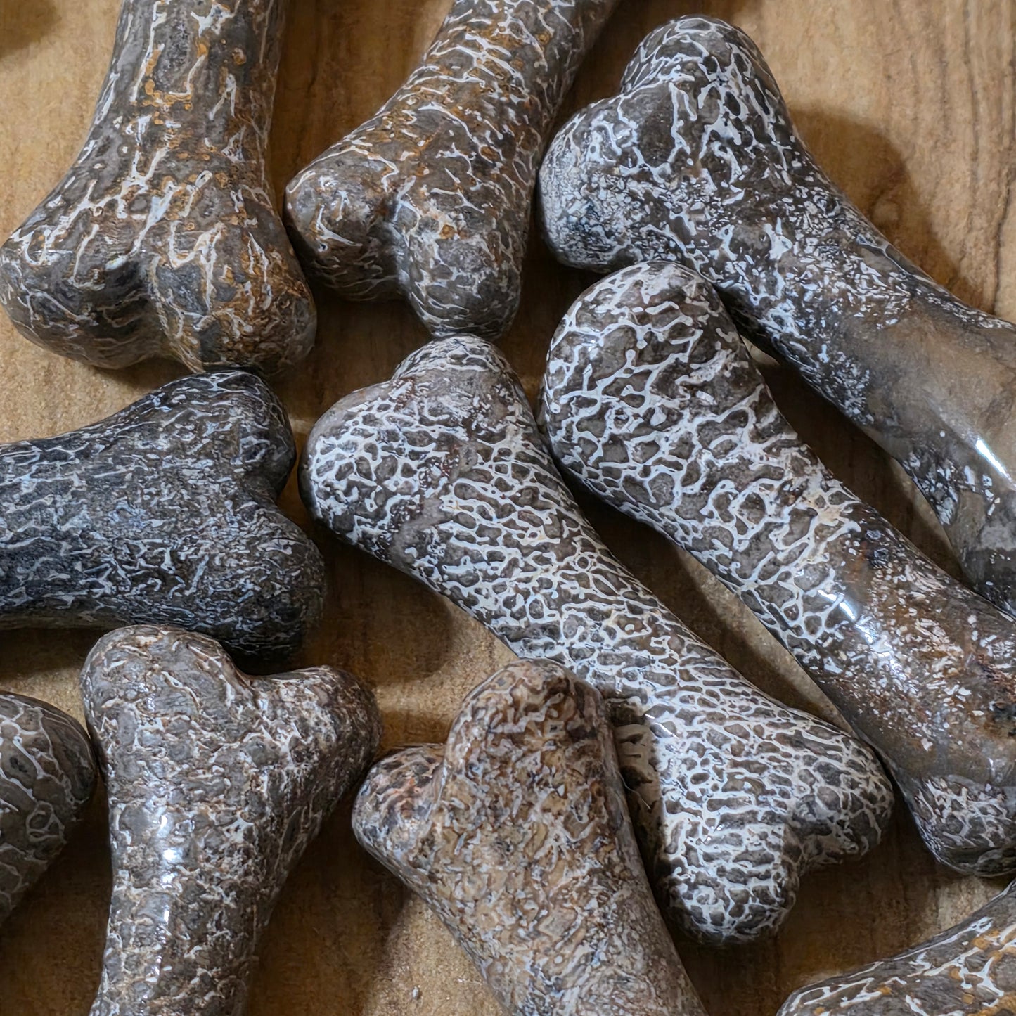 Real Fossilized Dinosaur Bone Carving | Sauropod Fossil