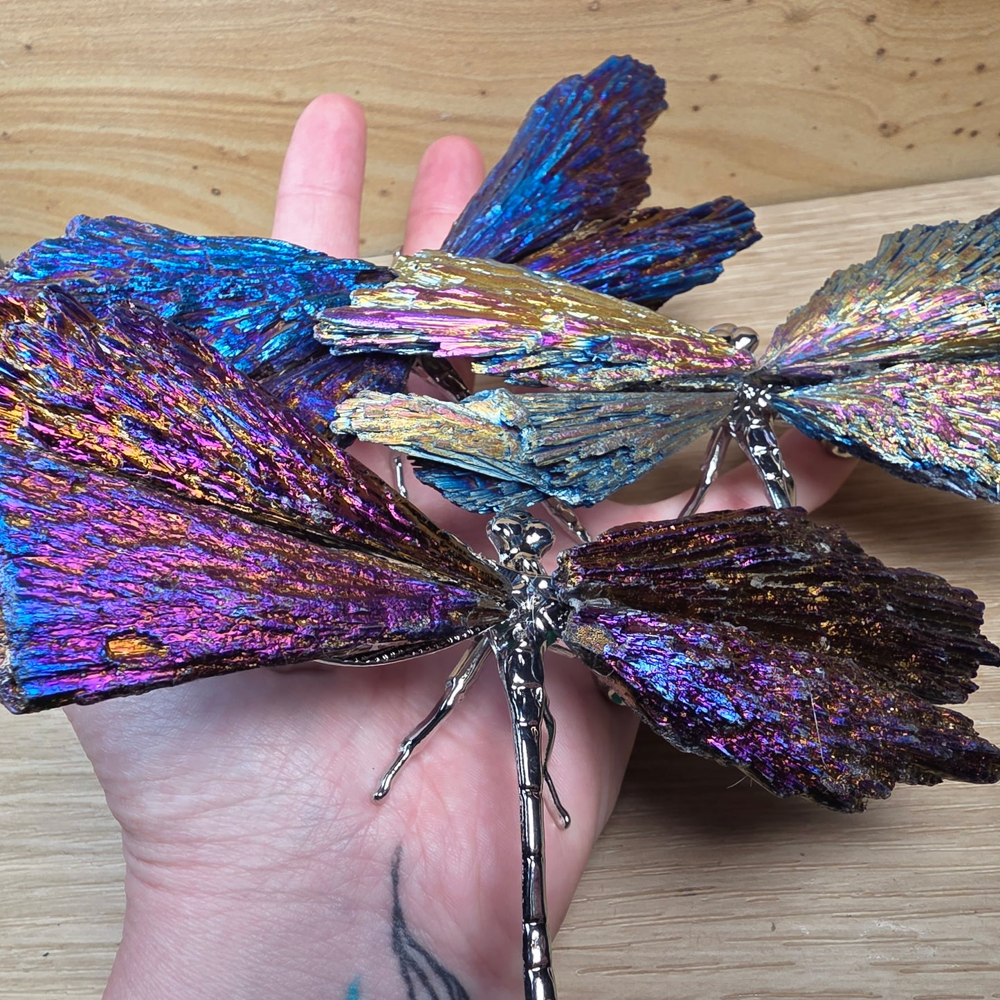 Titanium Aura Black Kyanite Dragonfly