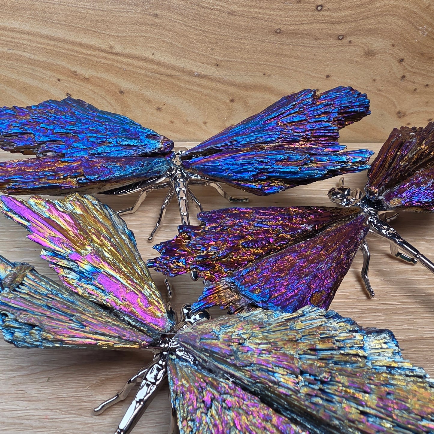 Titanium Aura Black Kyanite Dragonfly
